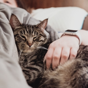 Mental health benefits of having a pet when you’re isolated